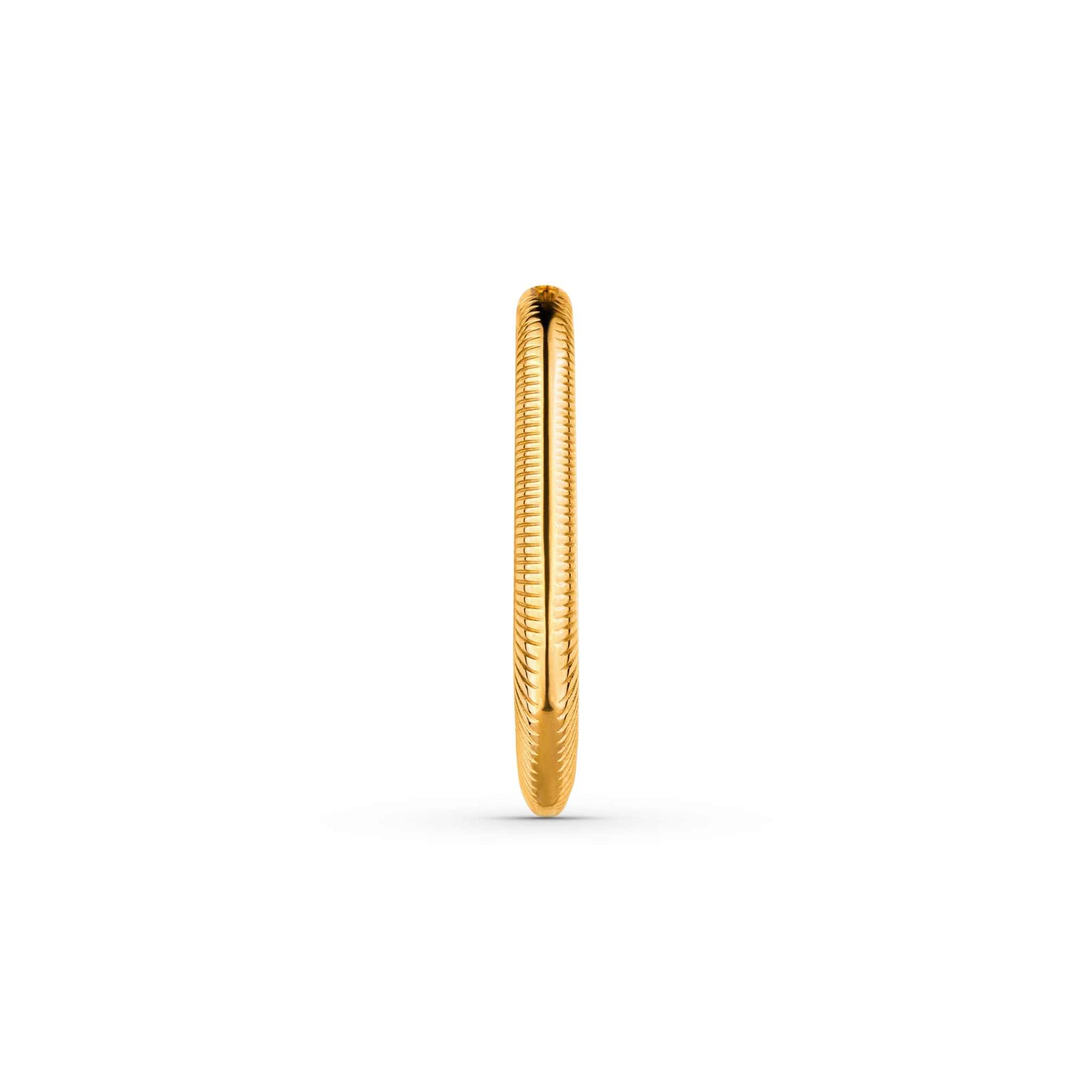 Solstice Earrings 18k PVD gold plated, hypoallergenic stainless steel hoop.