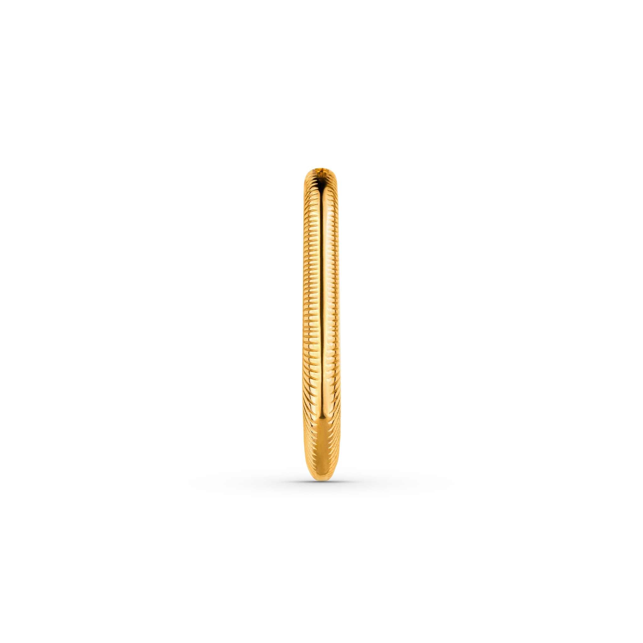 Solstice Earrings 18k PVD gold plated, hypoallergenic stainless steel hoop.